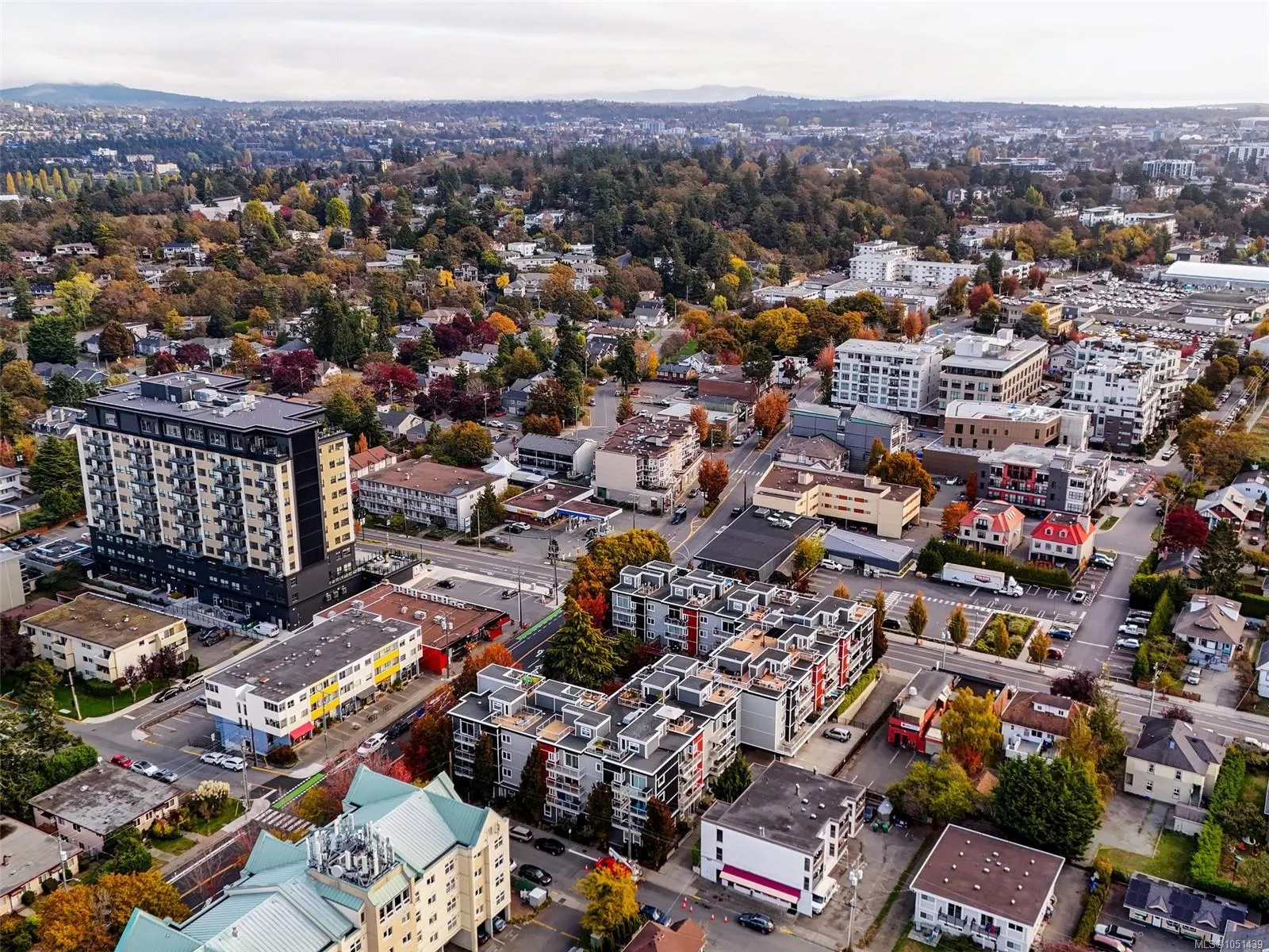 1315 Esquimalt Rd