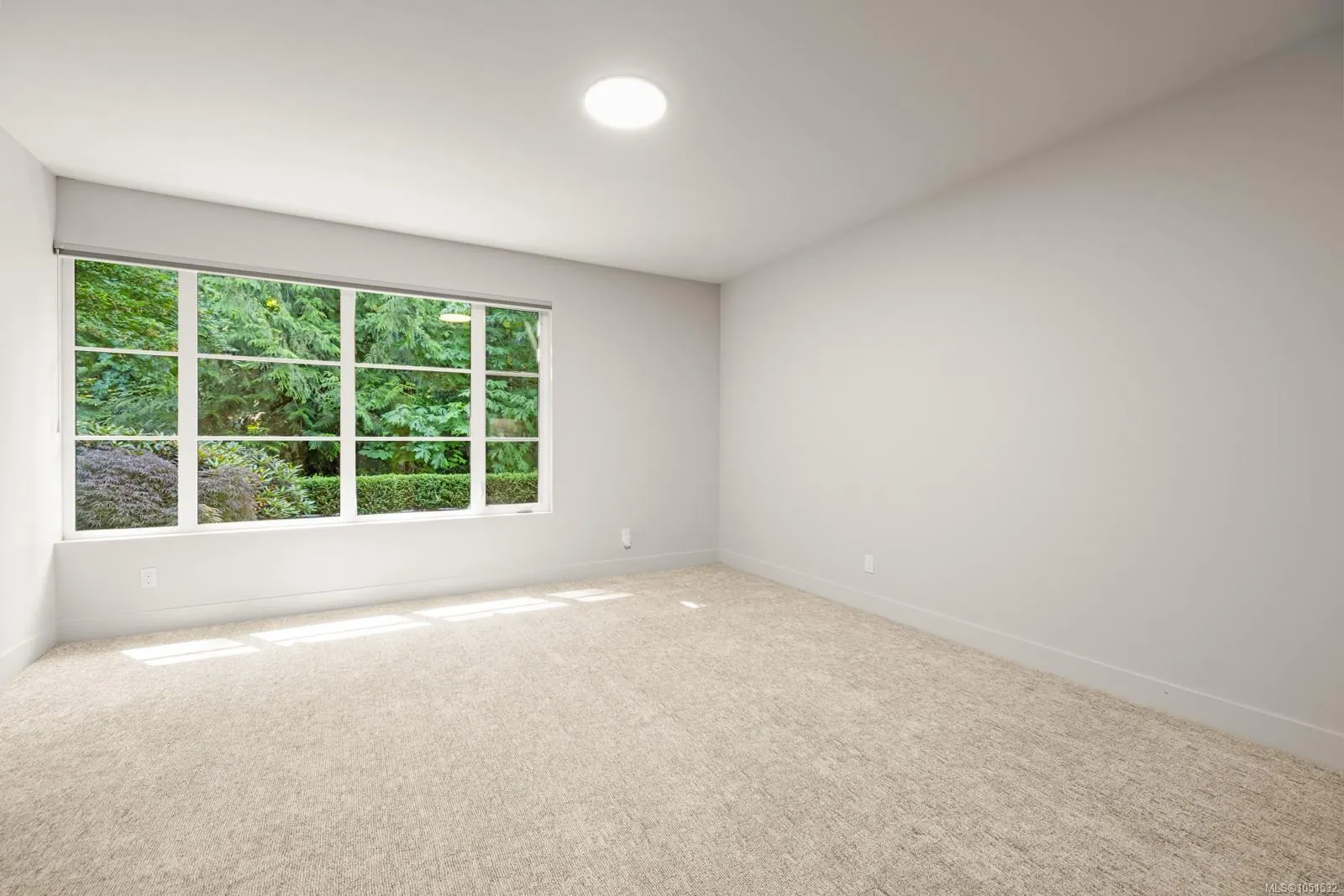 2215 Riviera Pl