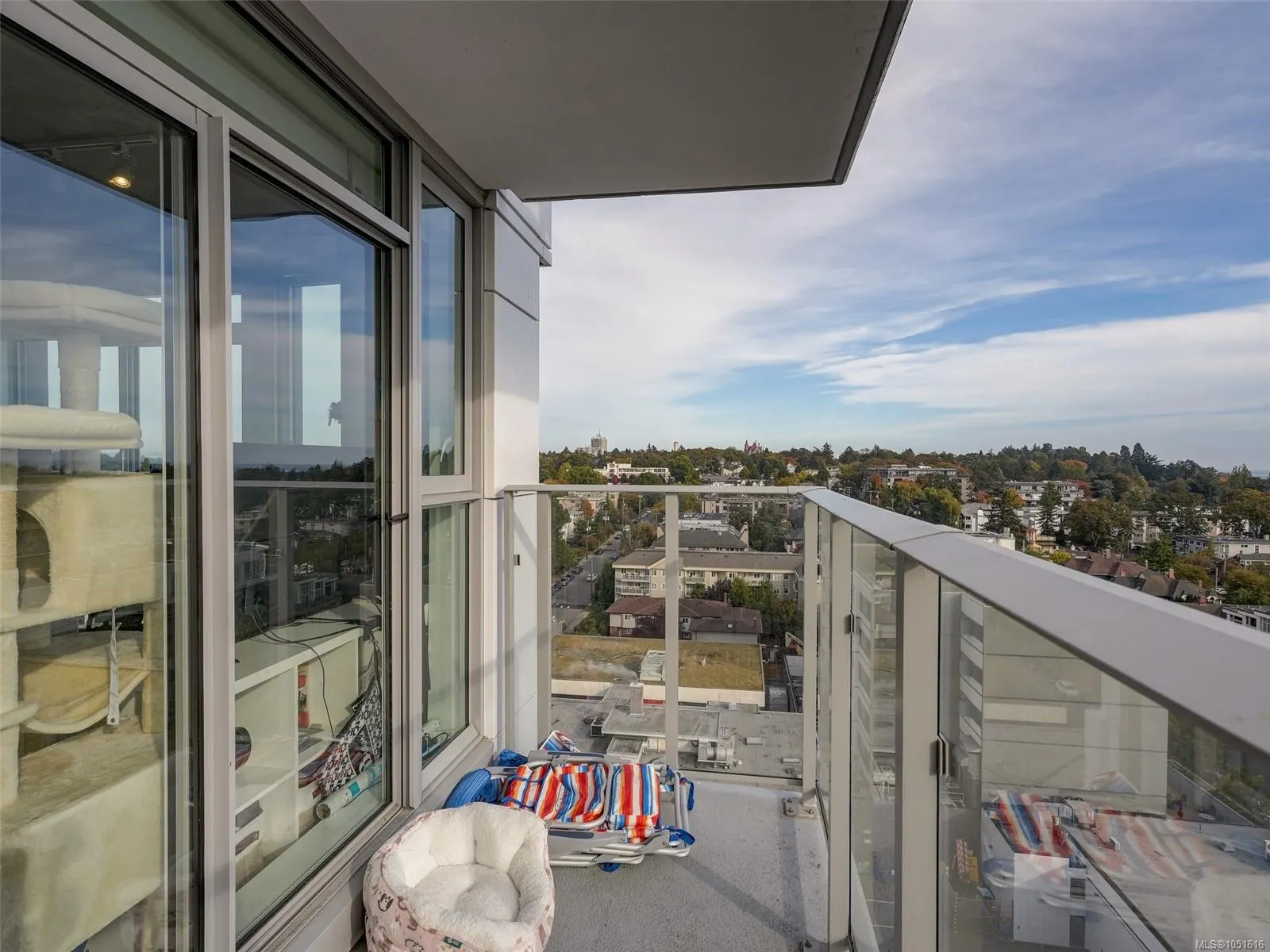 1097 View St