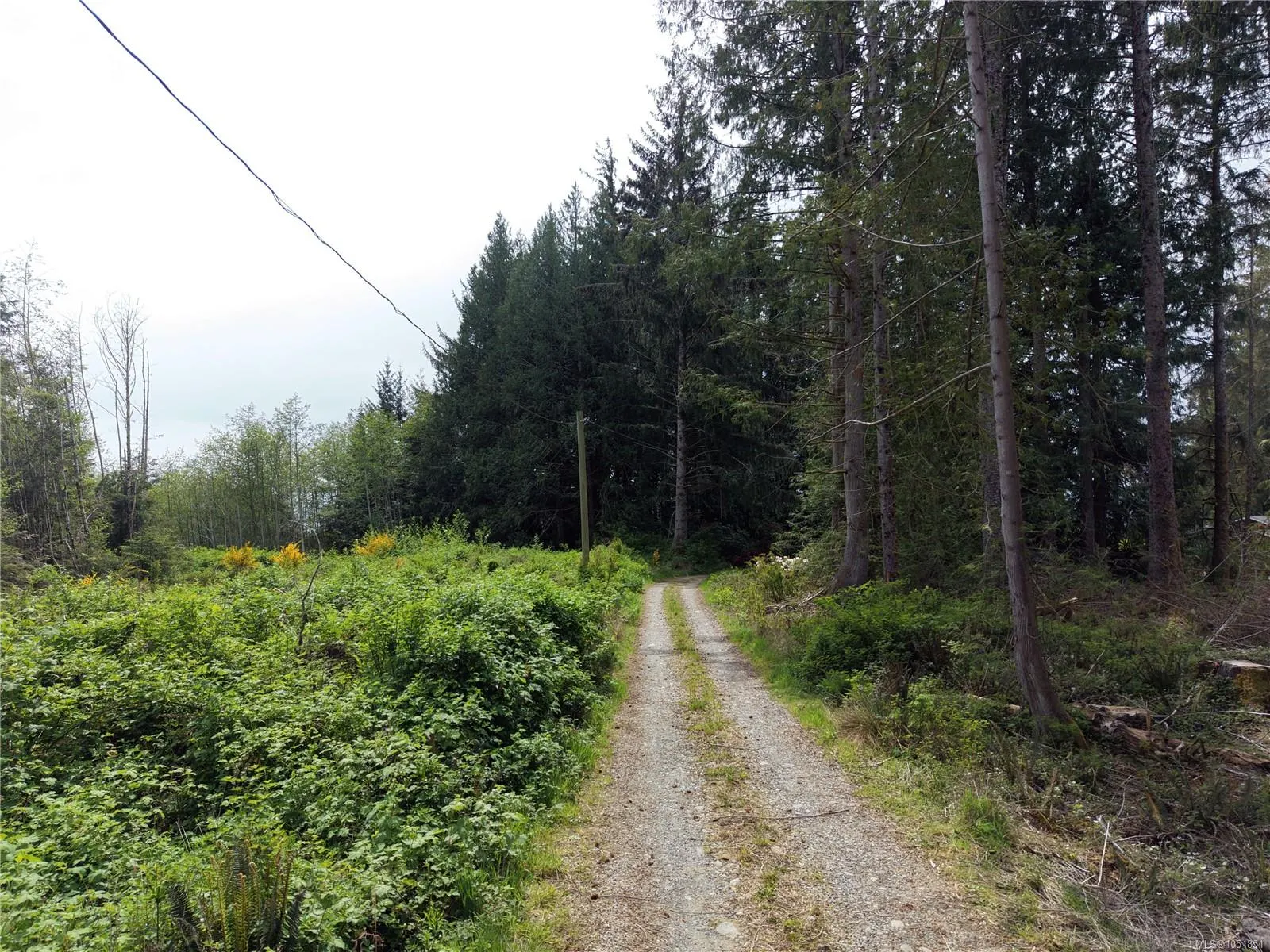 Lot 2/9333 Invermuir Rd
