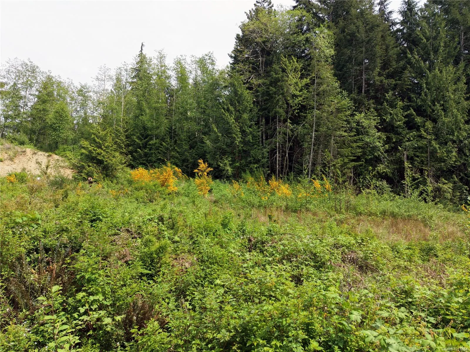 Lot 2/9333 Invermuir Rd