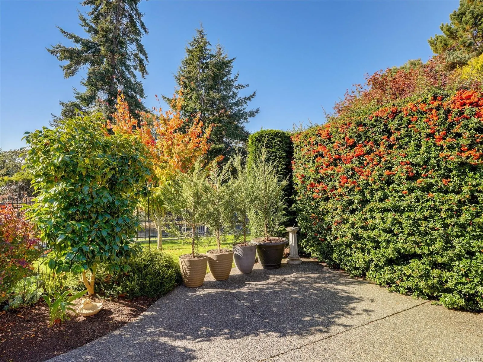 2829 Arbutus Rd