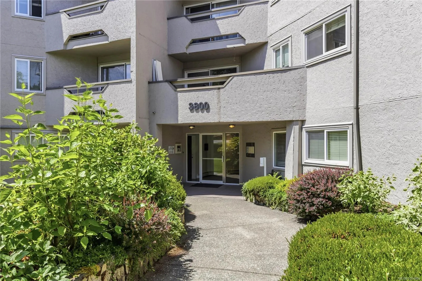 3800 Quadra St