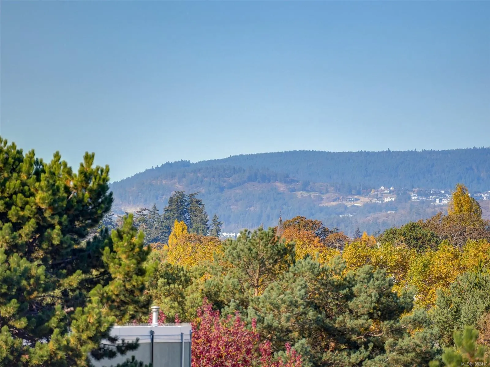 363 Tyee Rd