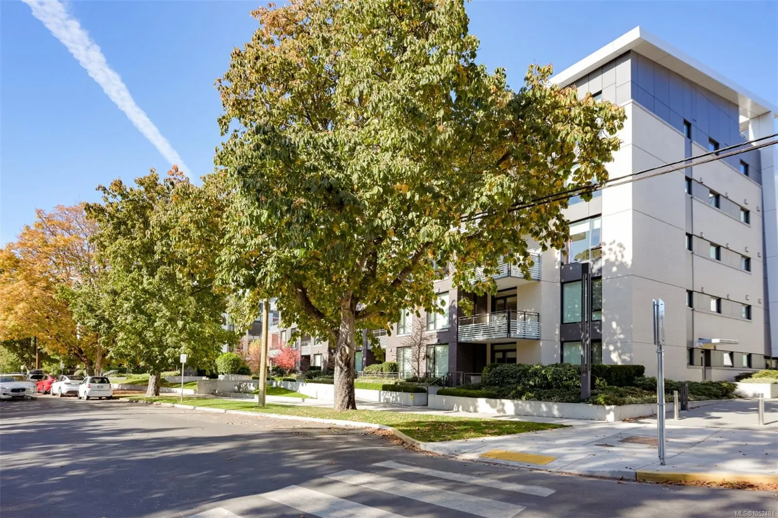 550 Michigan St