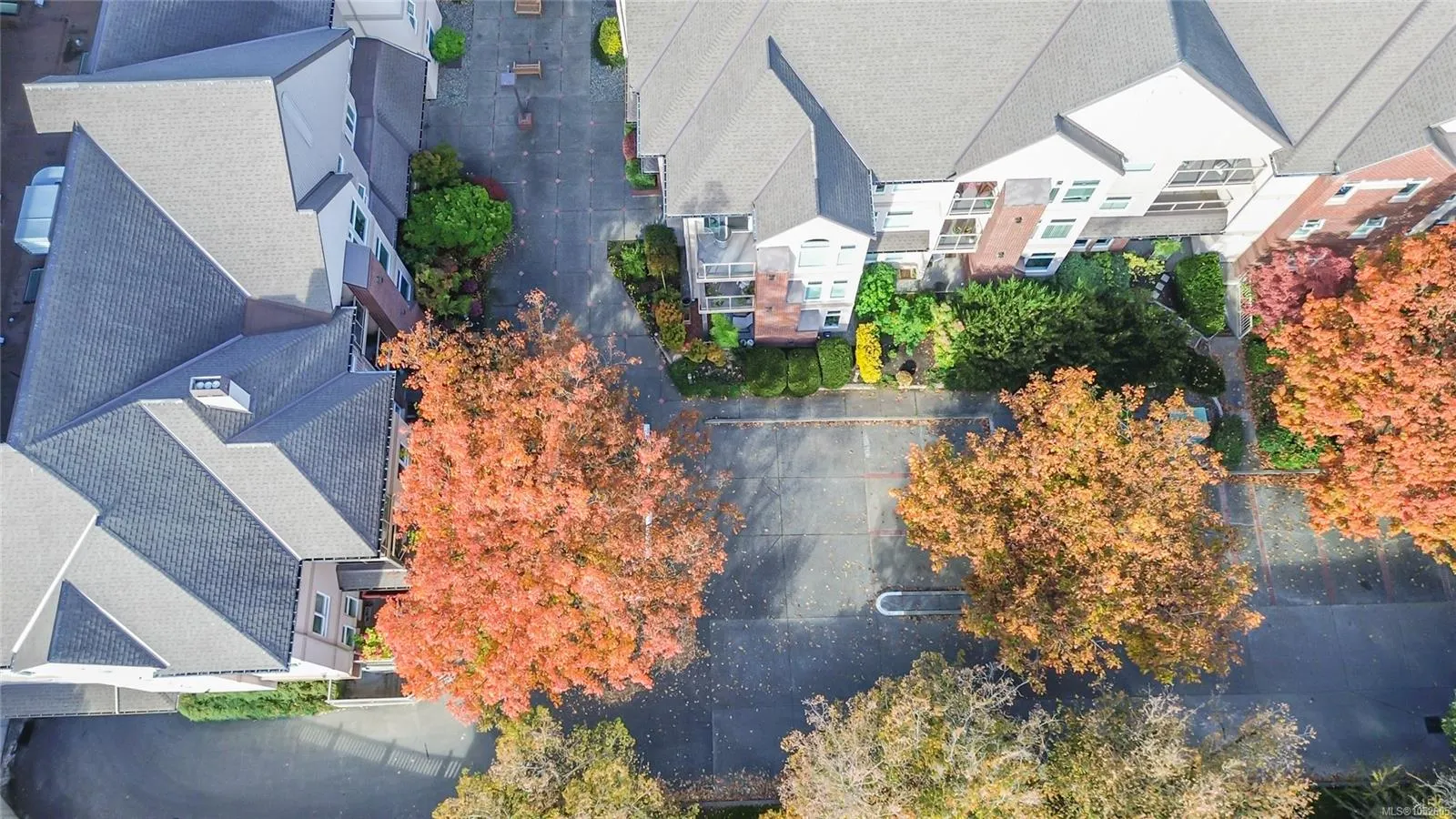 835 Selkirk Ave