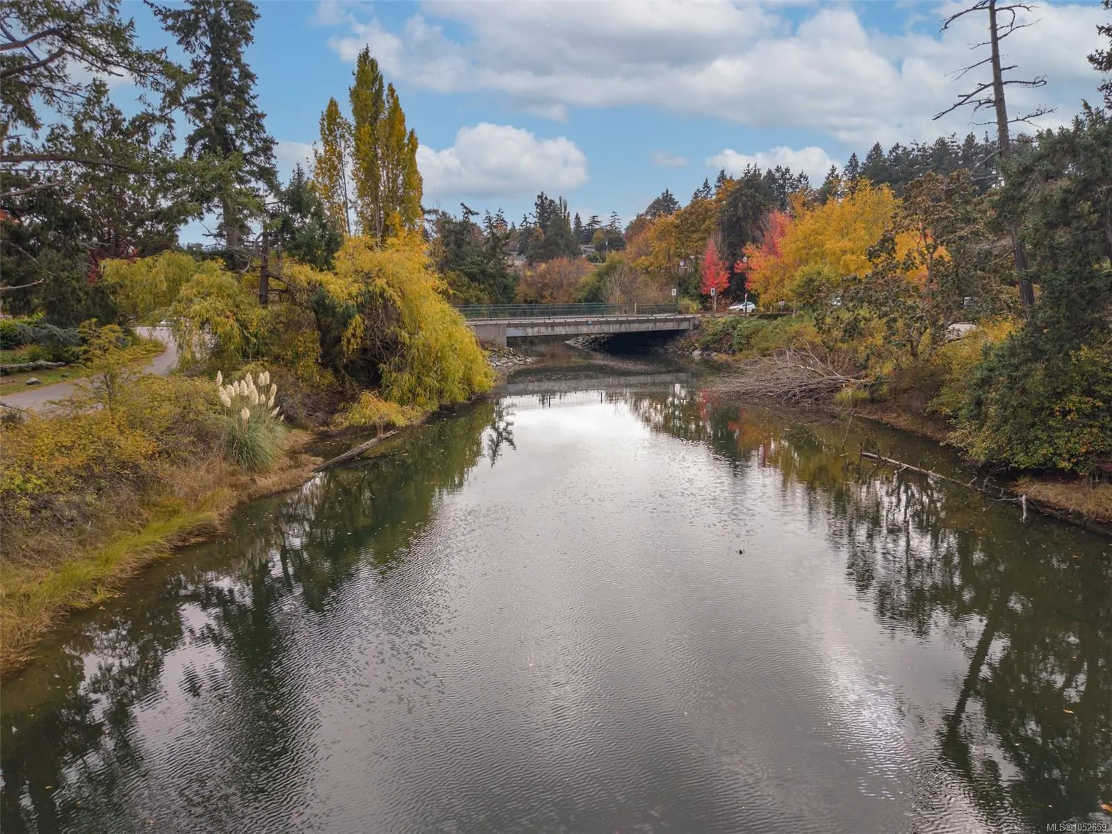 Lot 1 Helmcken Rd
