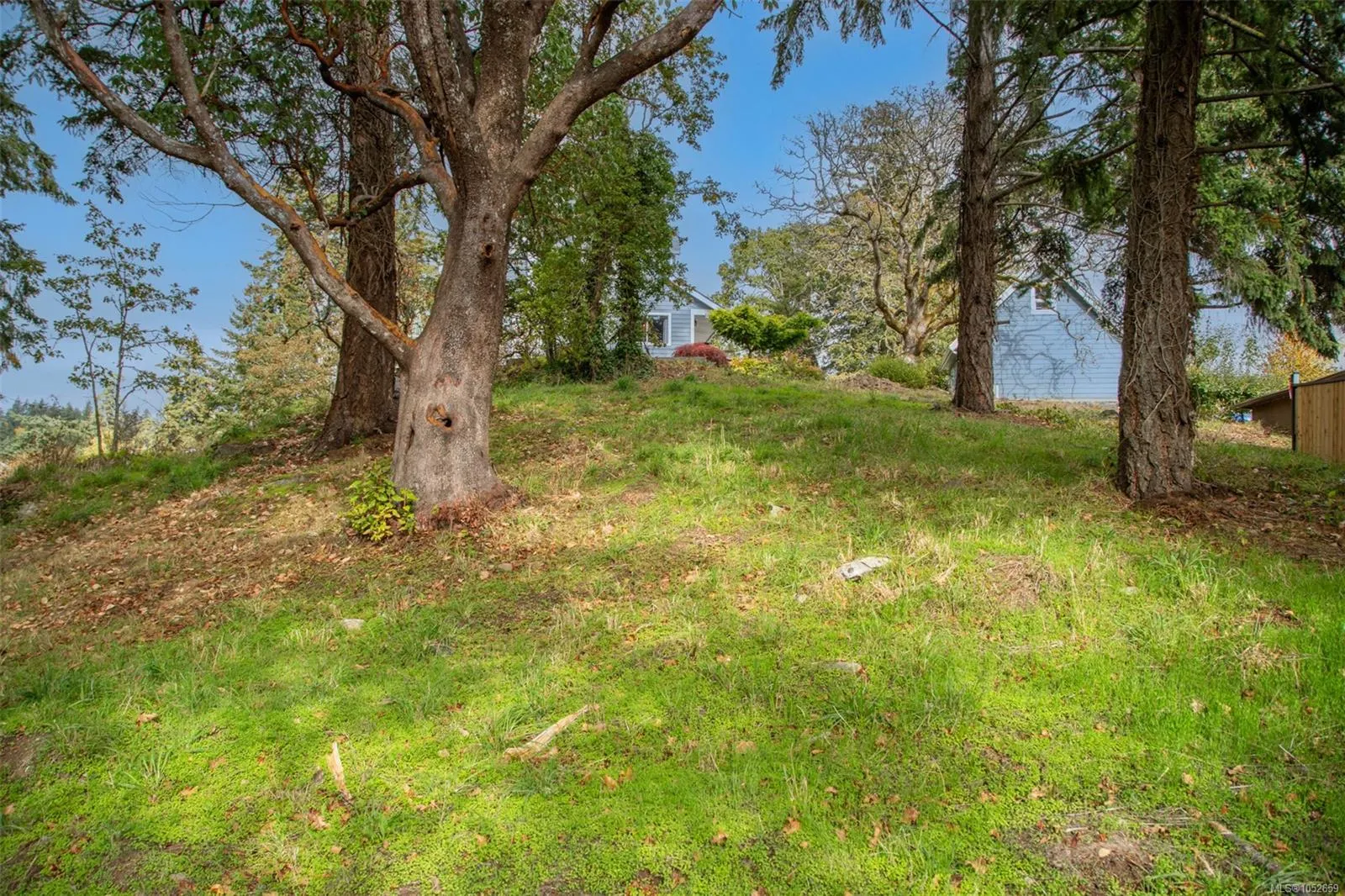 Lot 1 Helmcken Rd