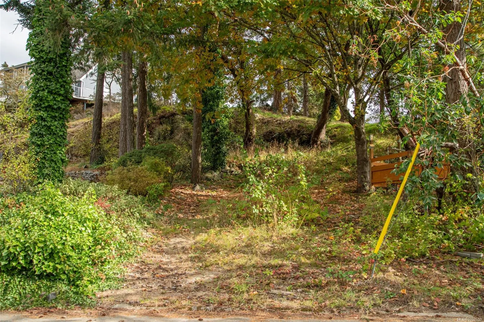 Lot 1 Helmcken Rd