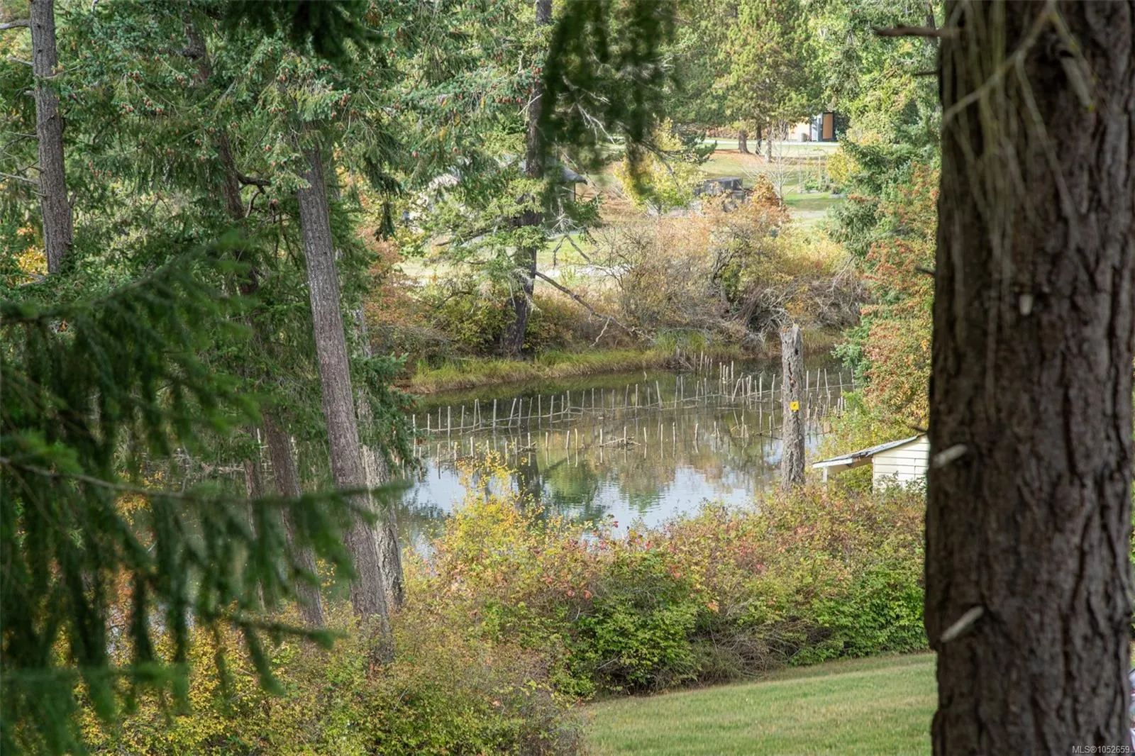 Lot 1 Helmcken Rd