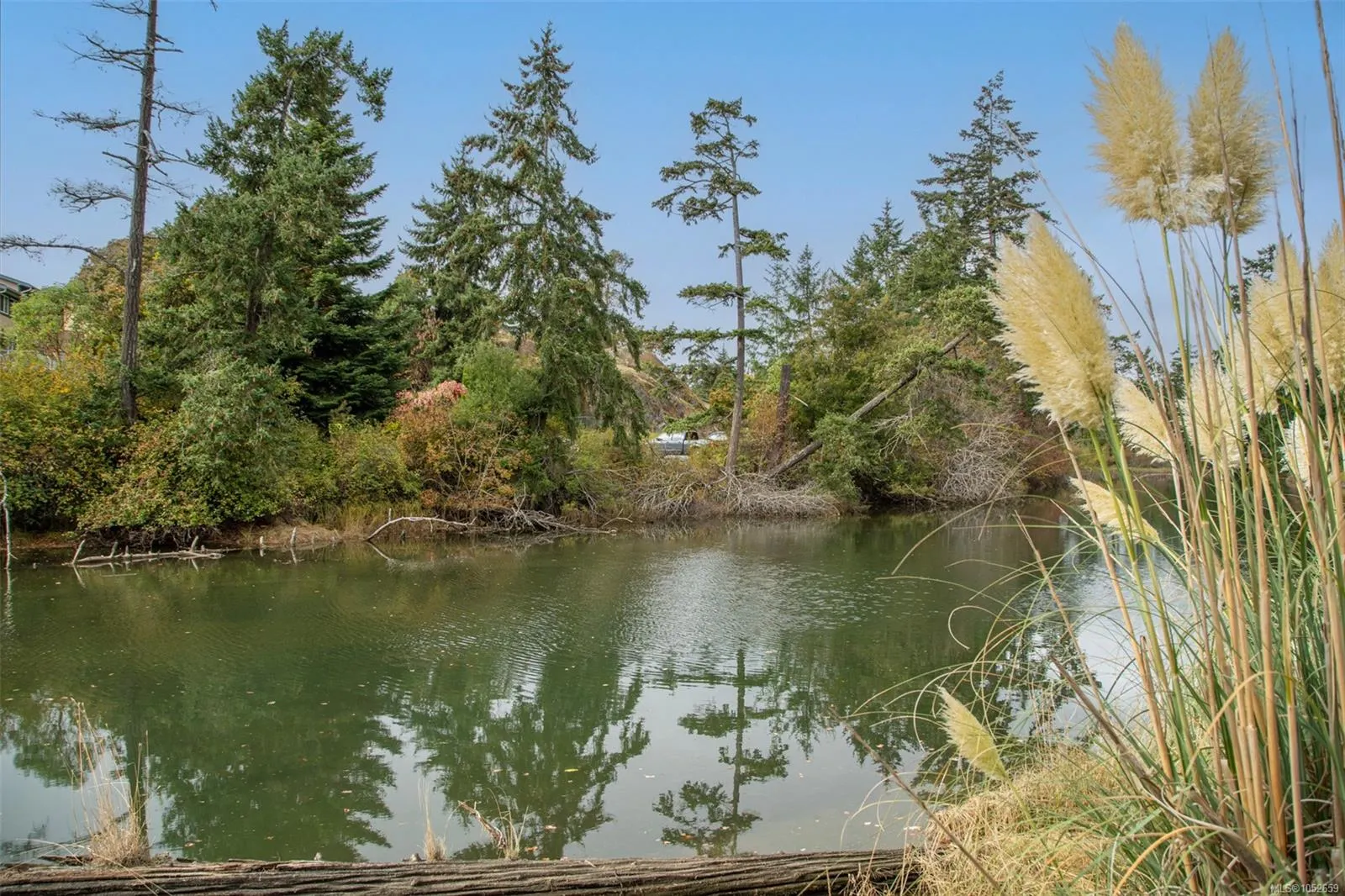 Lot 1 Helmcken Rd