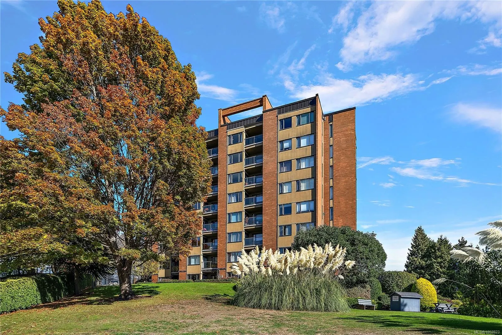 105 Gorge Rd E