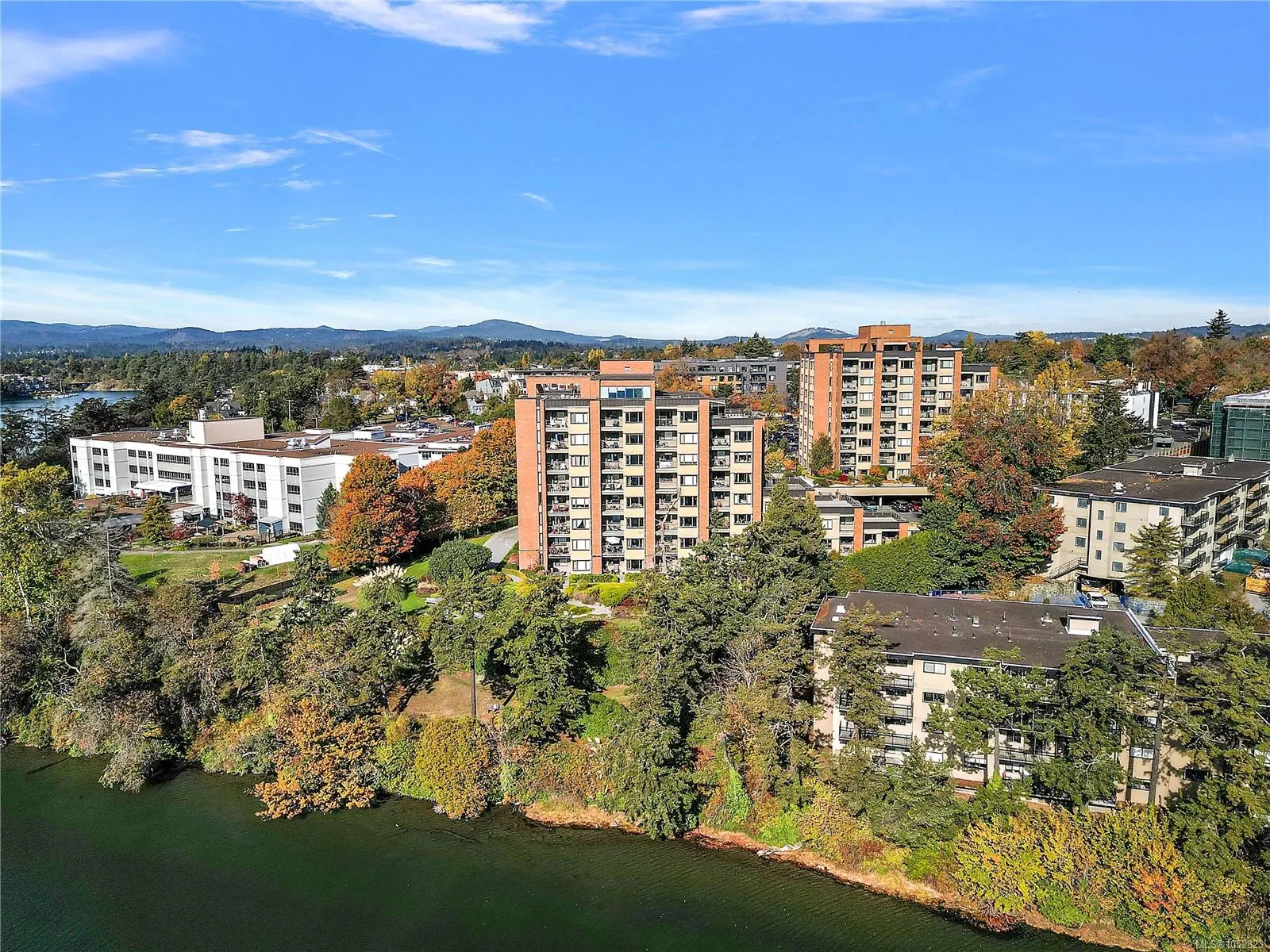 105 Gorge Rd E