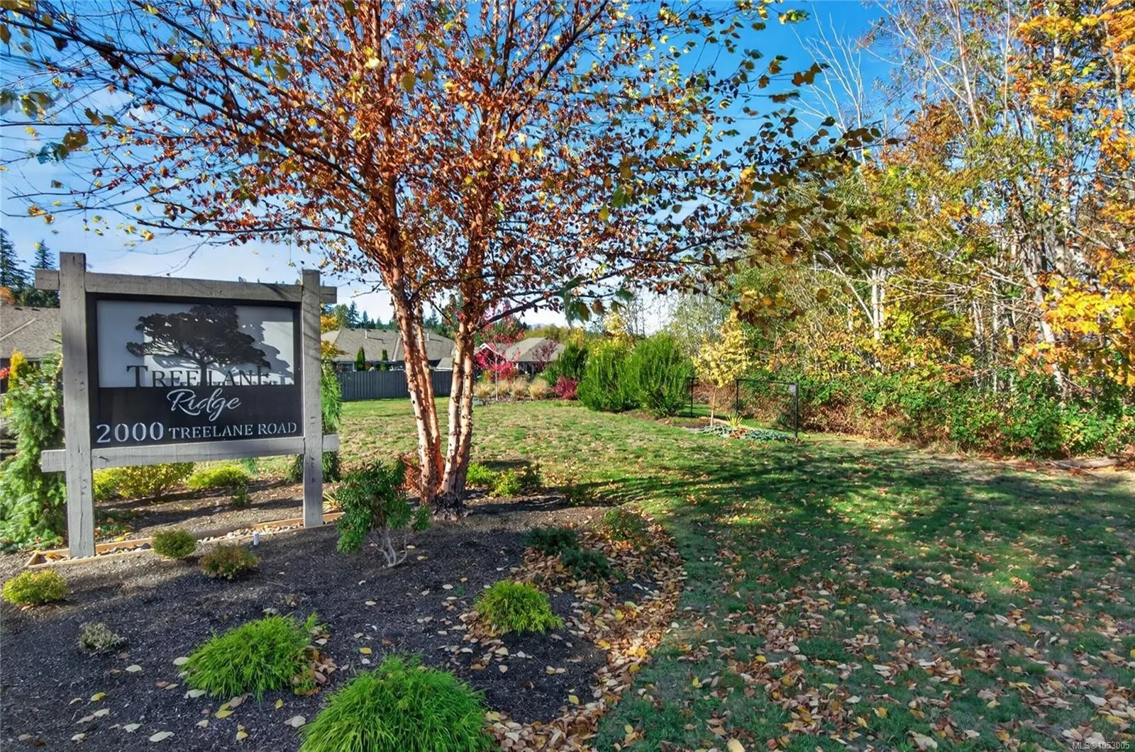 2000 Treelane Rd