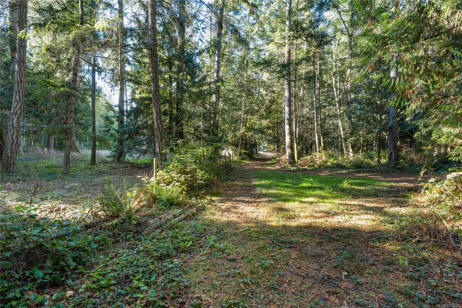 780 View Rd