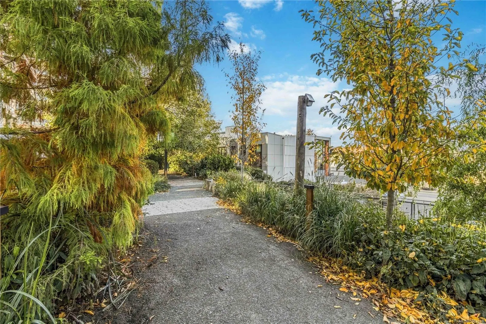 369 Tyee Rd