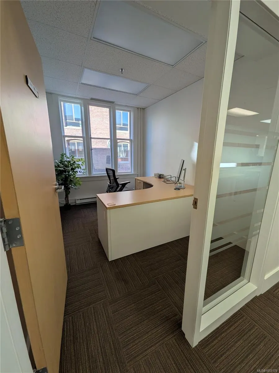 517 Fort St