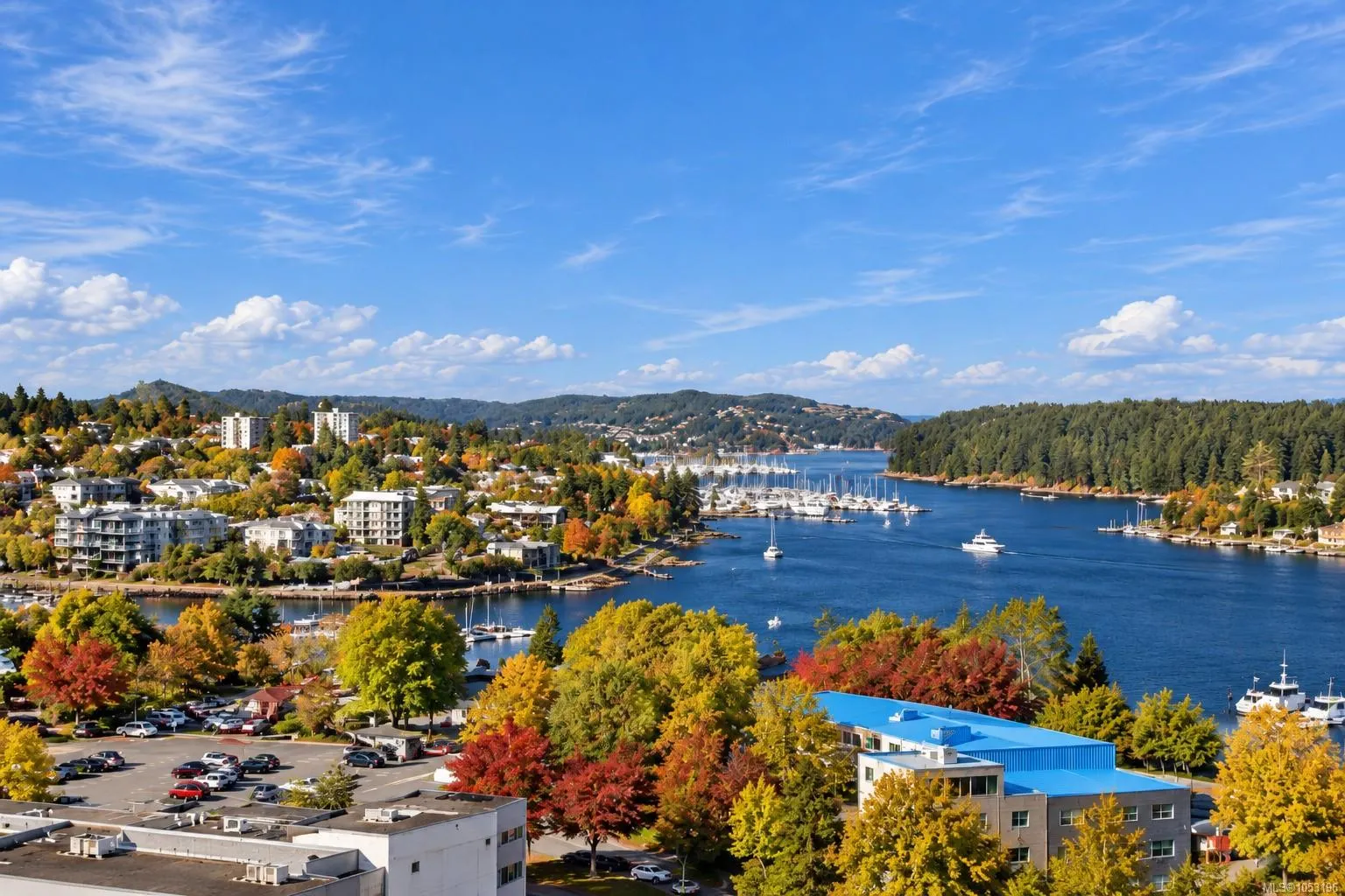 10 Chapel St