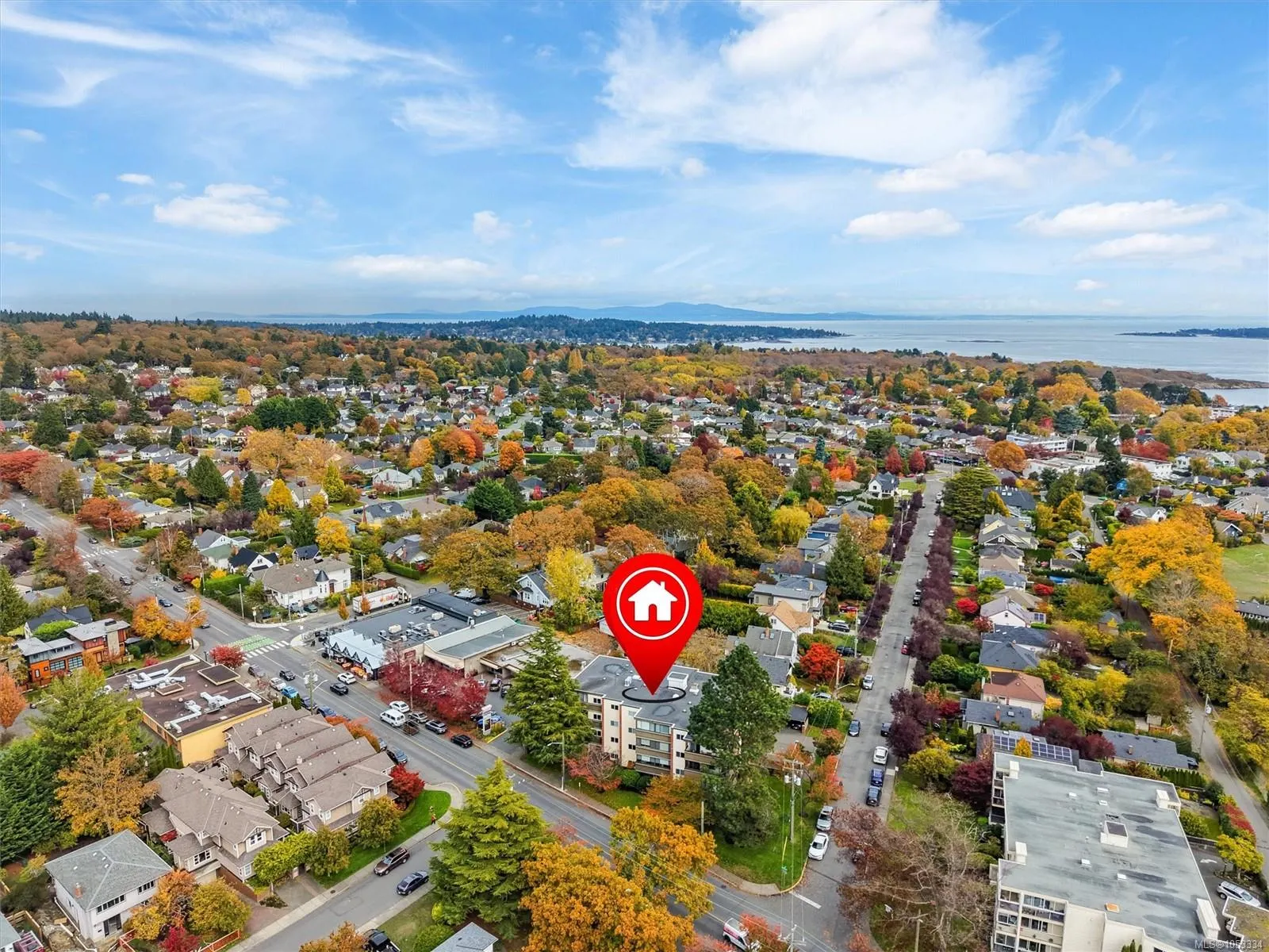 2535 Cadboro Bay Rd