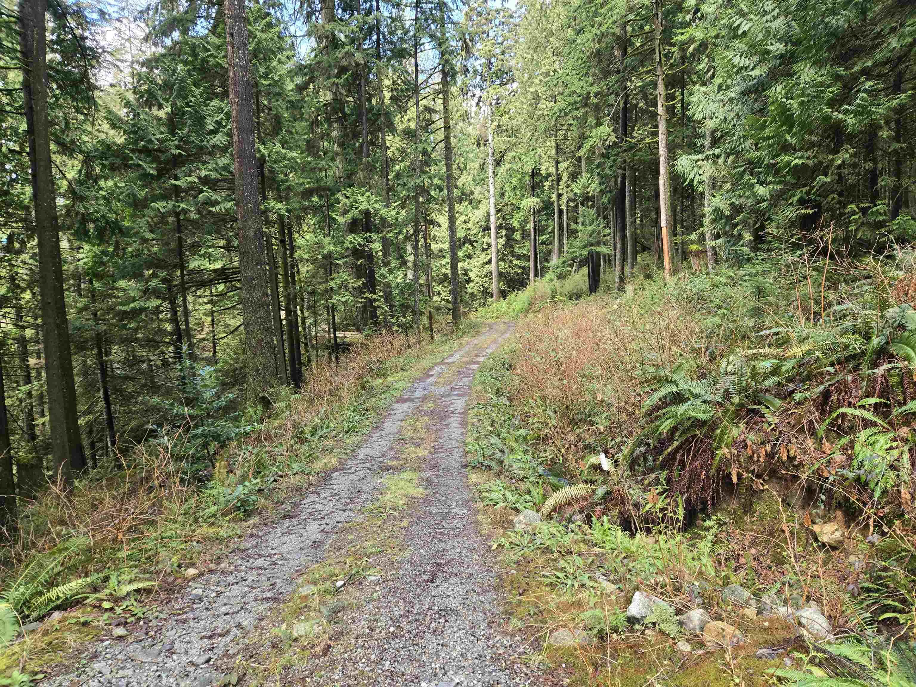 Lot 4 Williams Landing