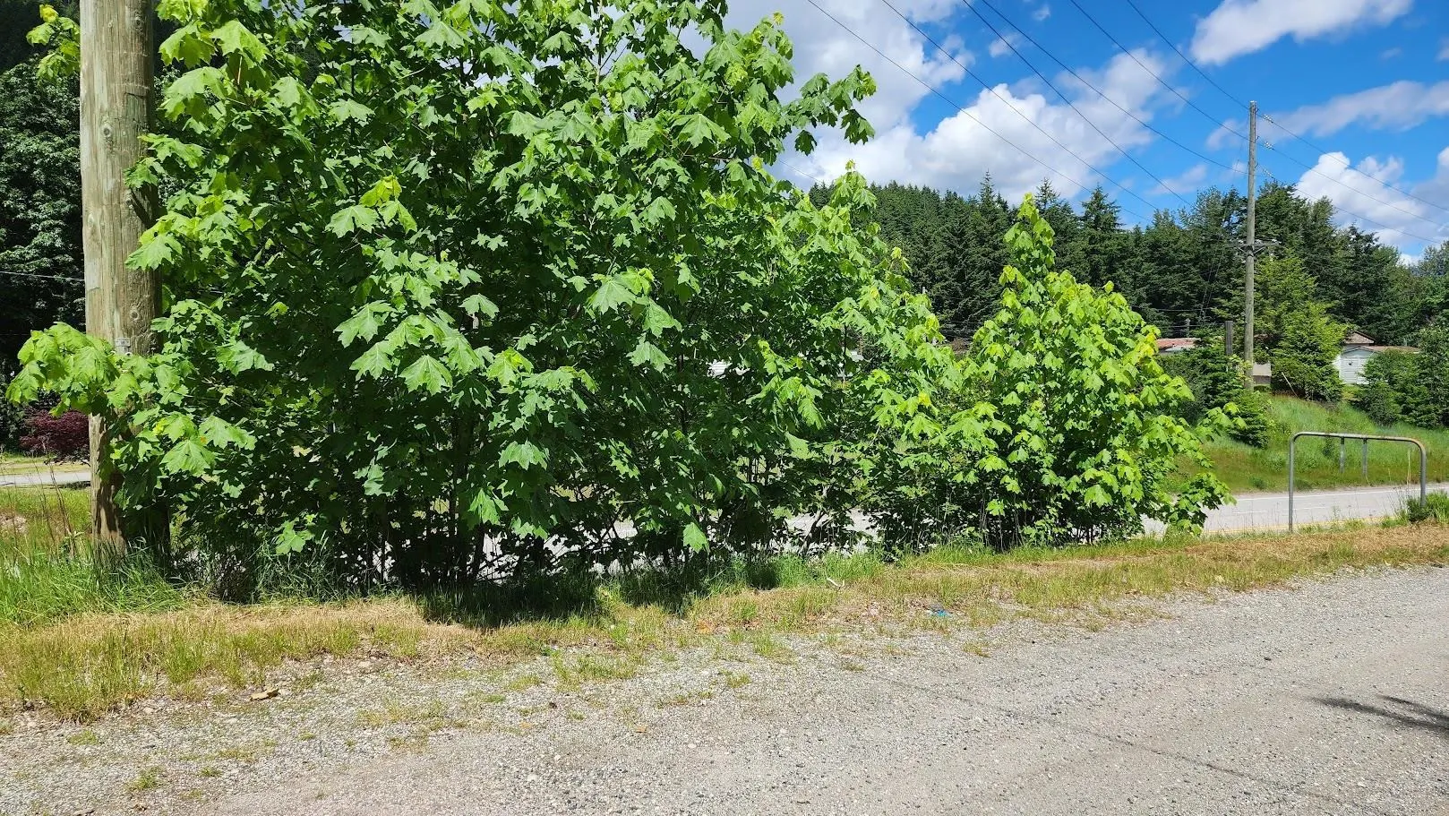 22793 Ross Road