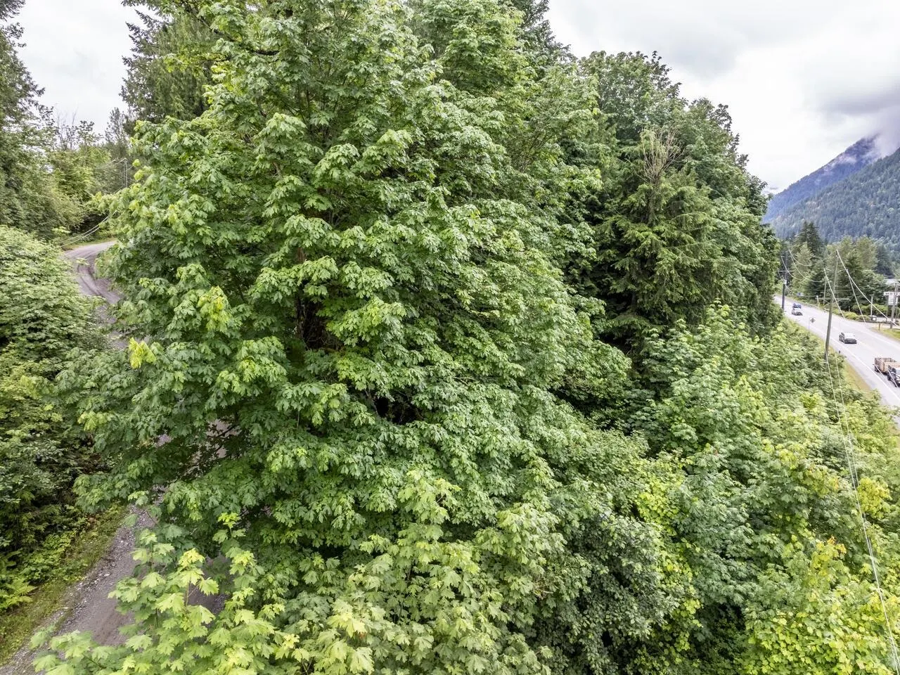 22793 Ross Road