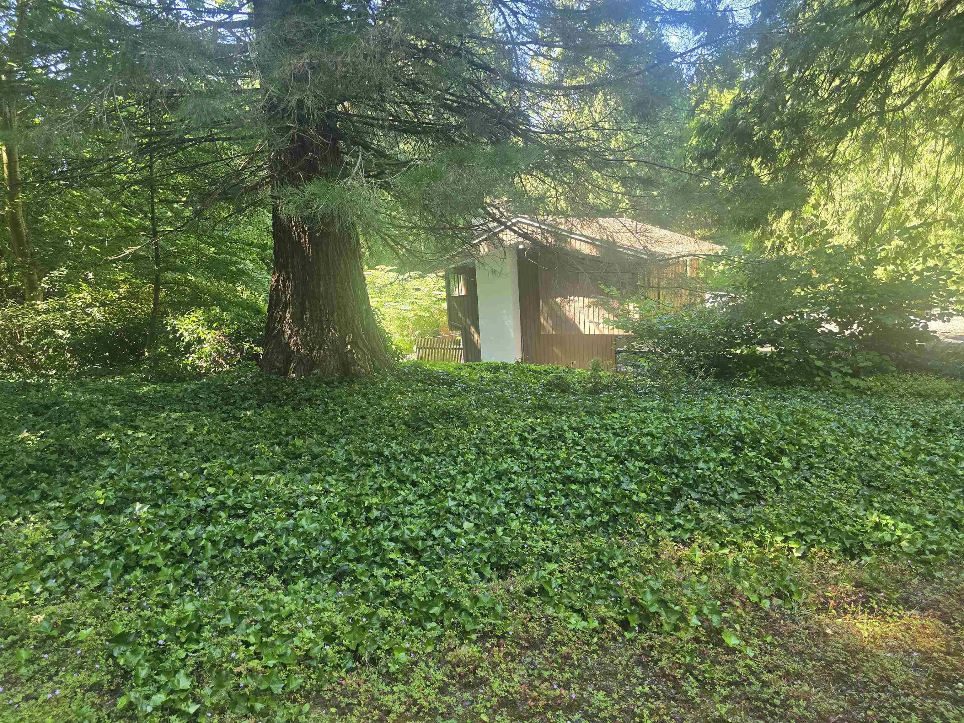 13418 Vine Maple Drive
