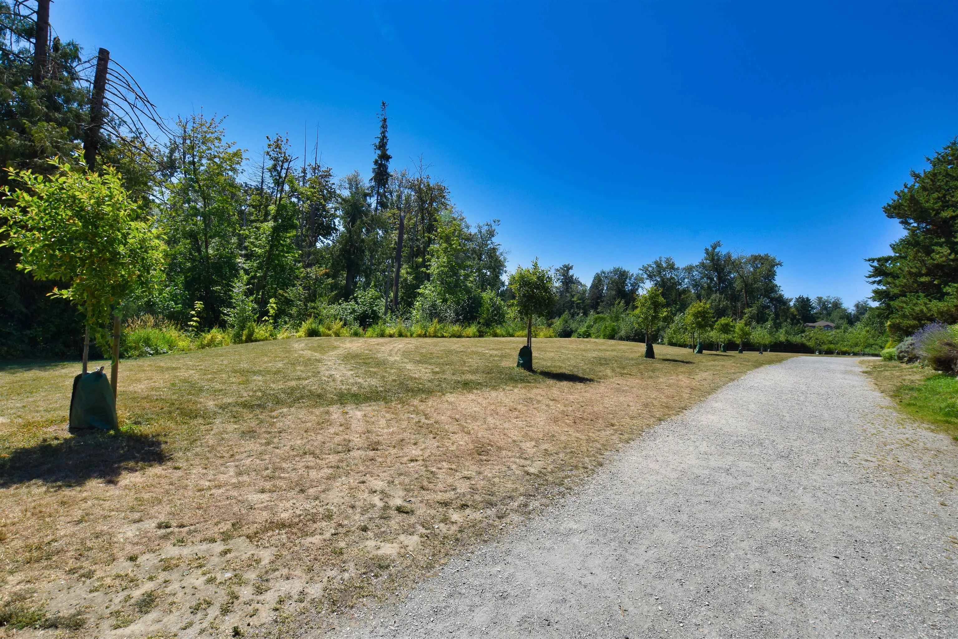 211 19388 65 Avenue