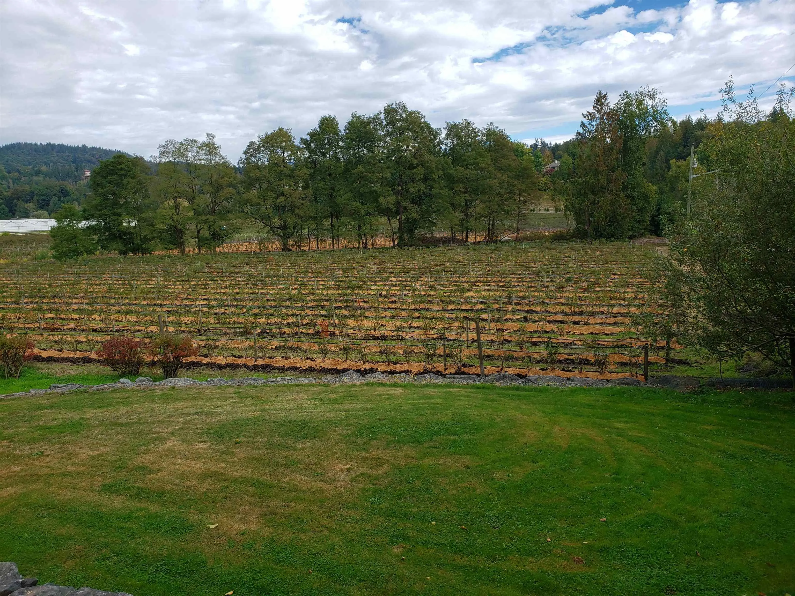34861 Bateman Road