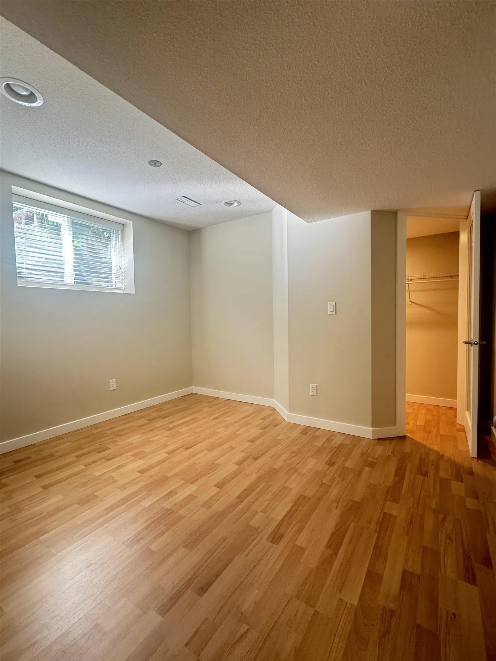 Basement 23 Ashwood Drive