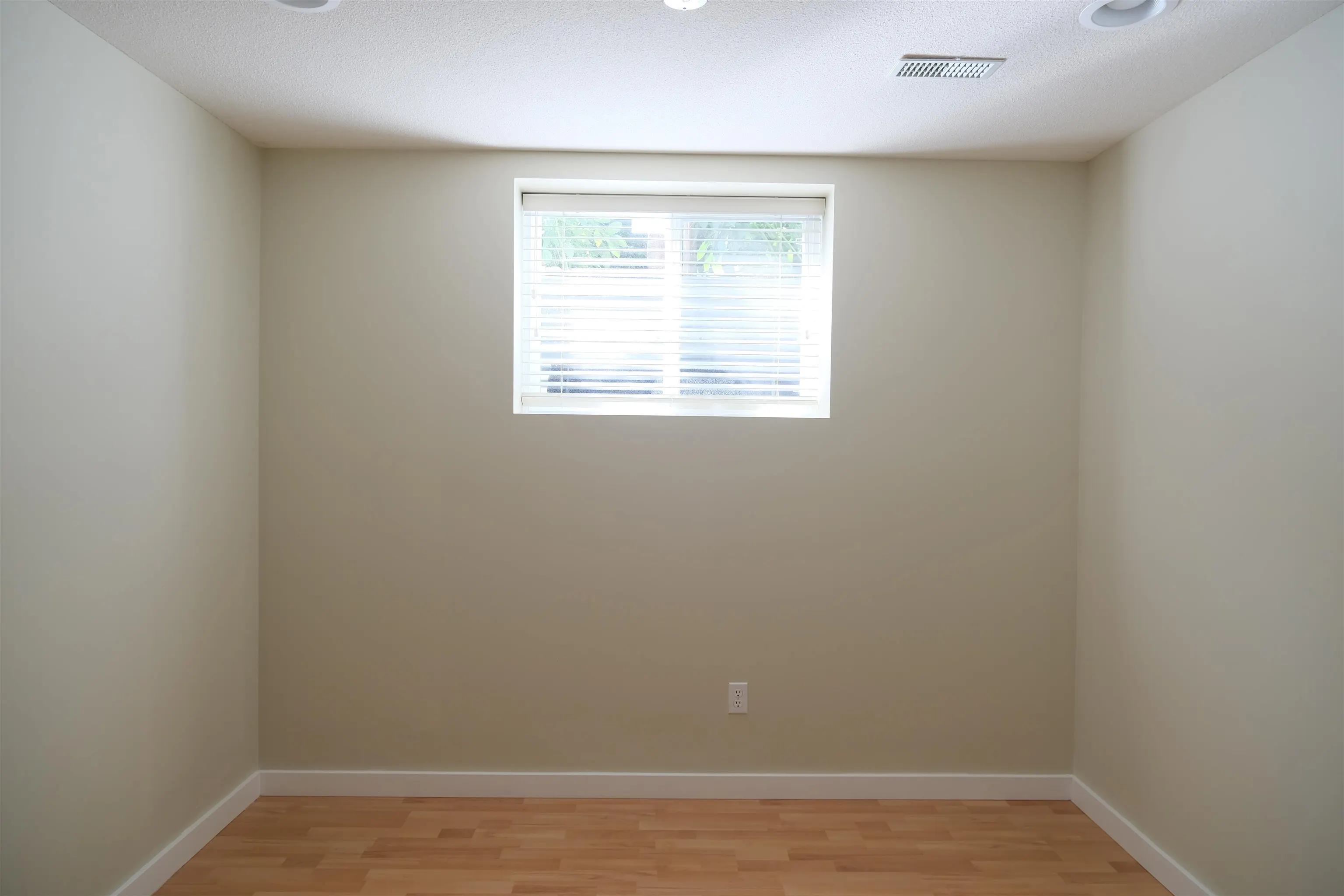 Basement 23 Ashwood Drive