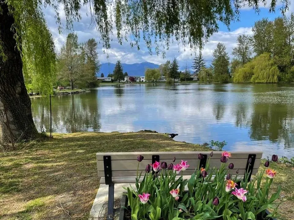 410 45769 Stevenson Road