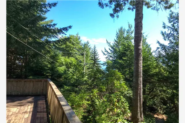 427 Collingwood Road