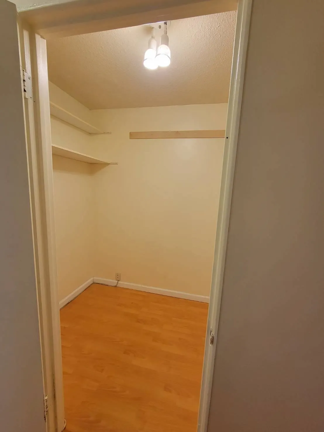 251 8131 Ryan Road