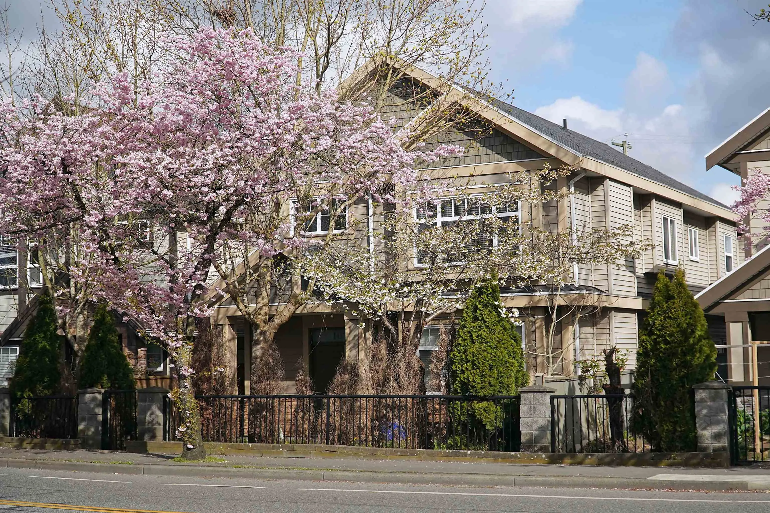 10391 Williams Road