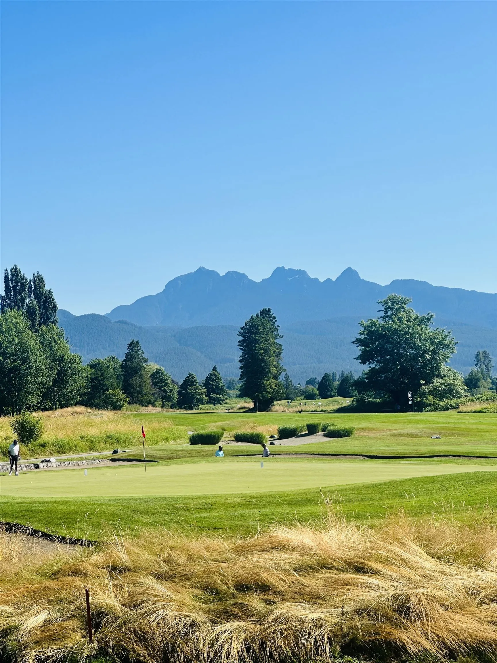 134 19639 Meadow Gardens Way