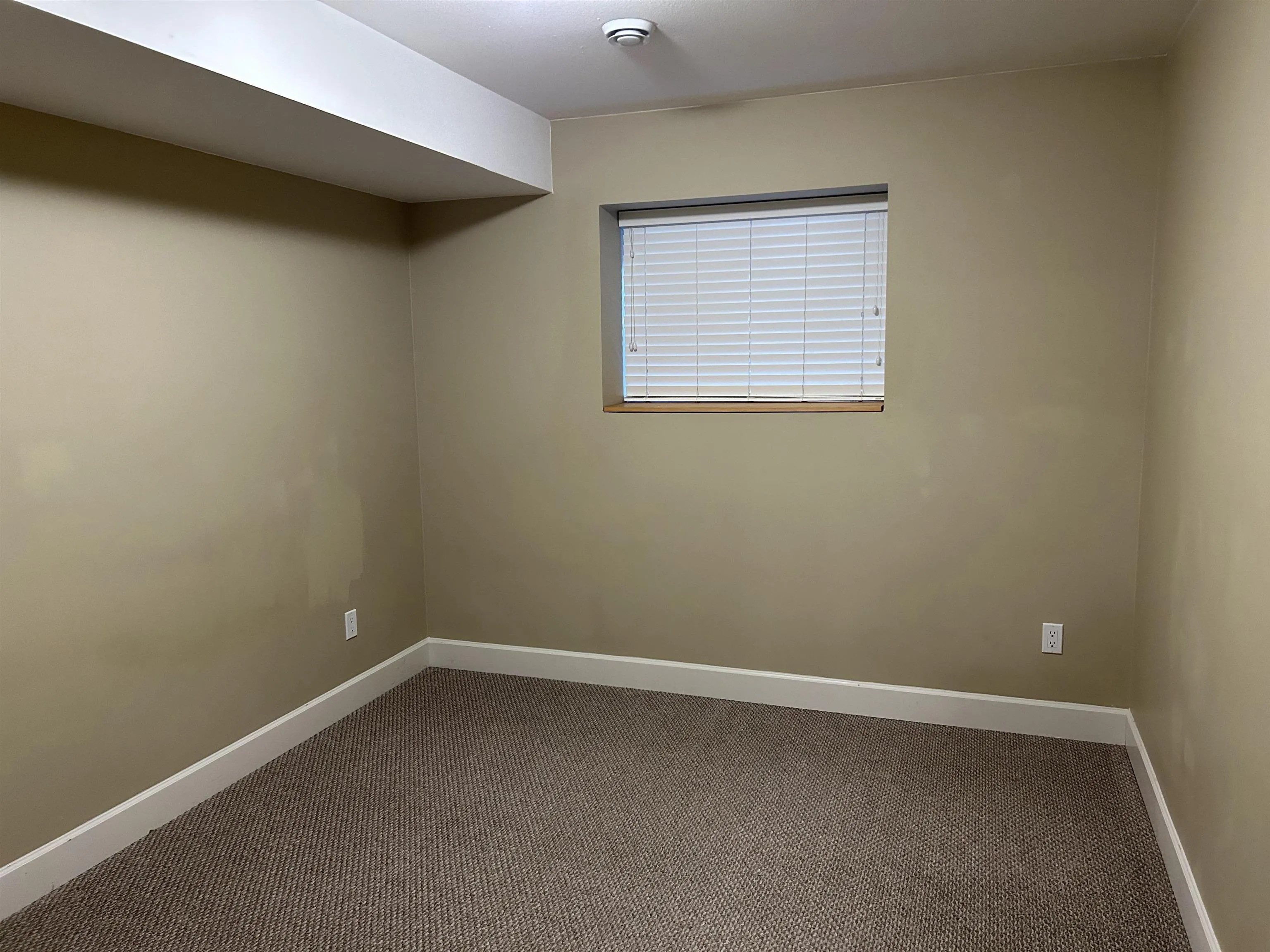 Basement 8213 211 Street