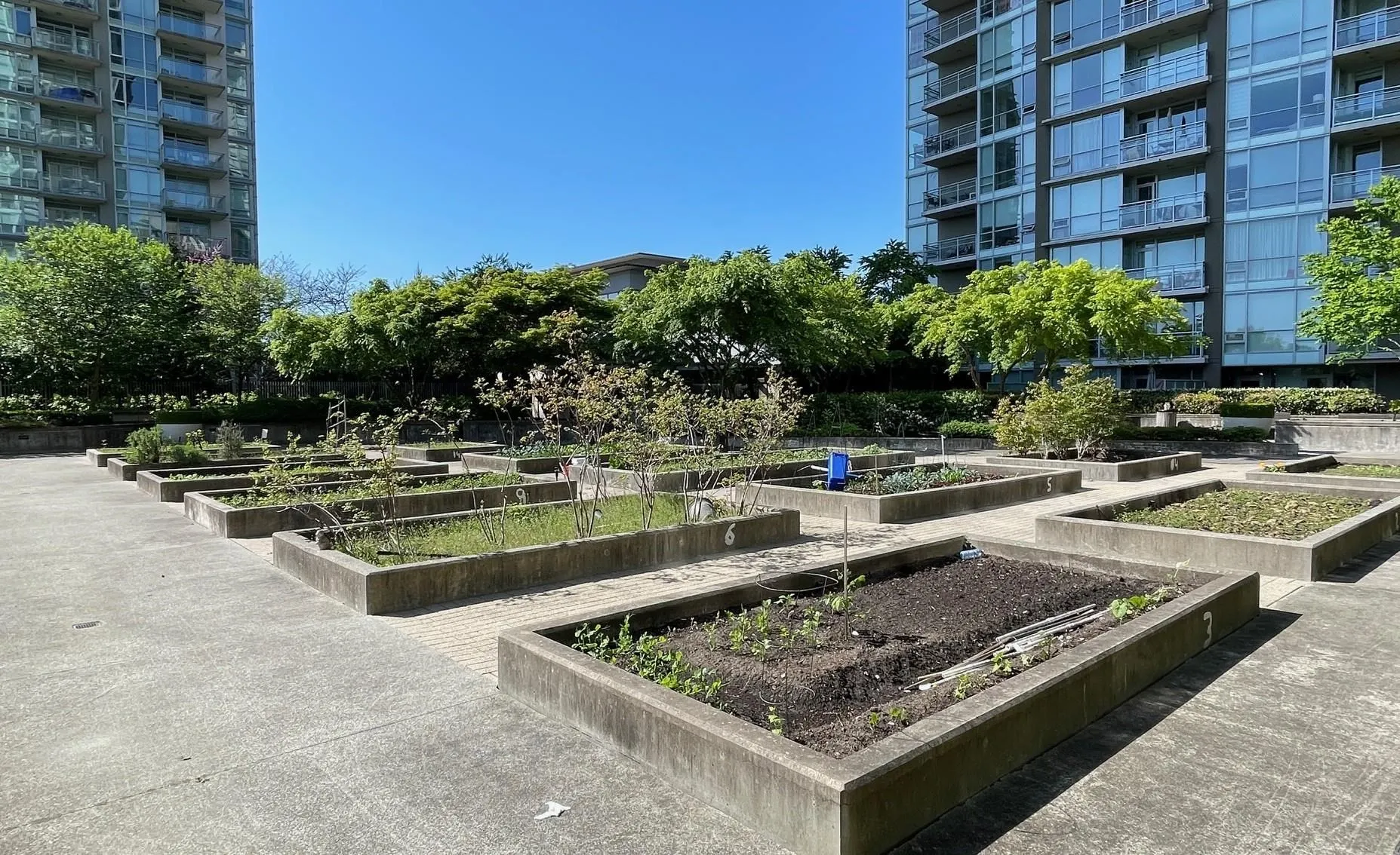 2808 2975 Atlantic Avenue