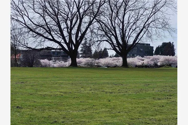 204 375 W 59th Avenue