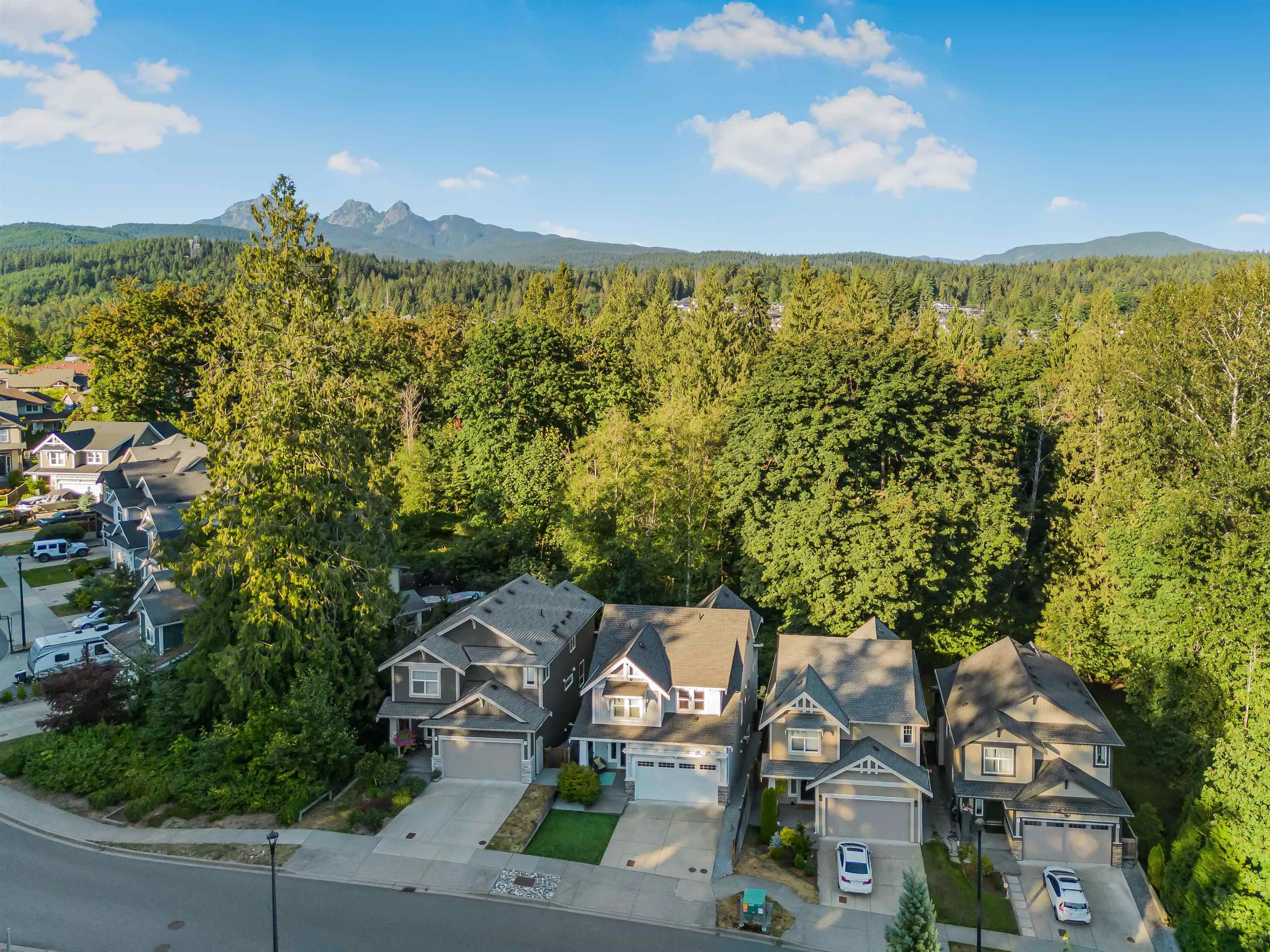 13542 Nelson Peak Drive