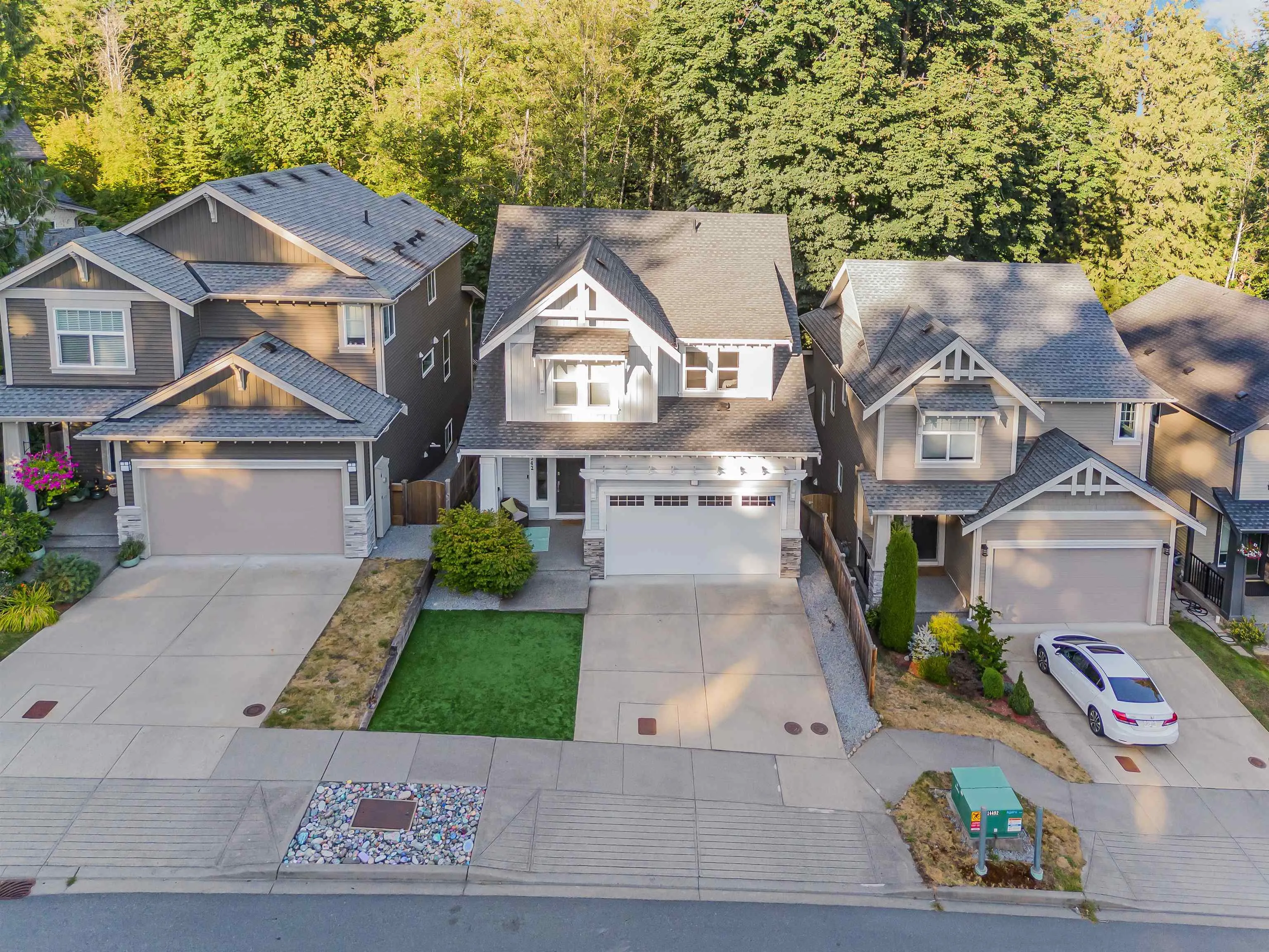 13542 Nelson Peak Drive