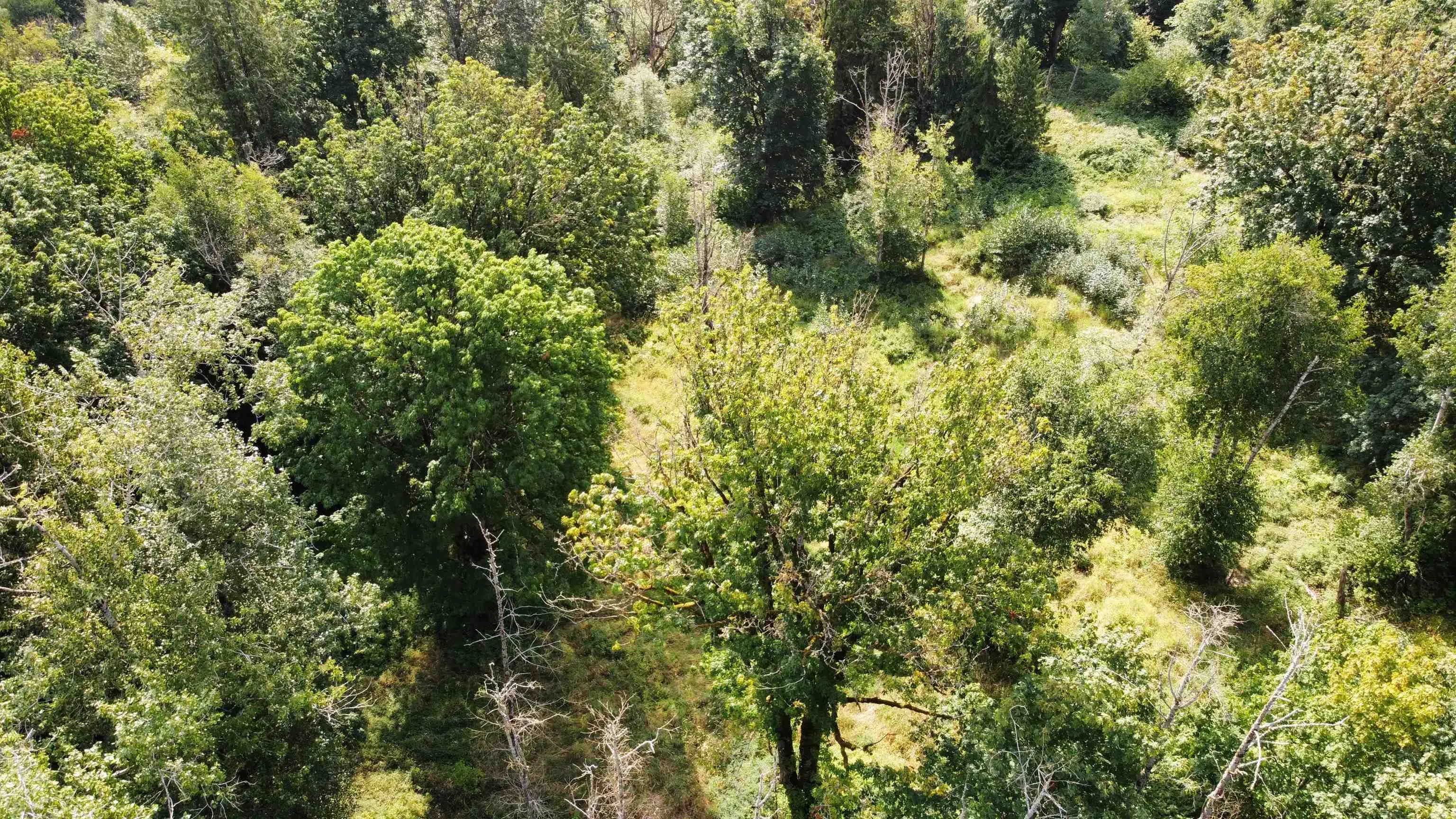 LT.4 Ohman Road