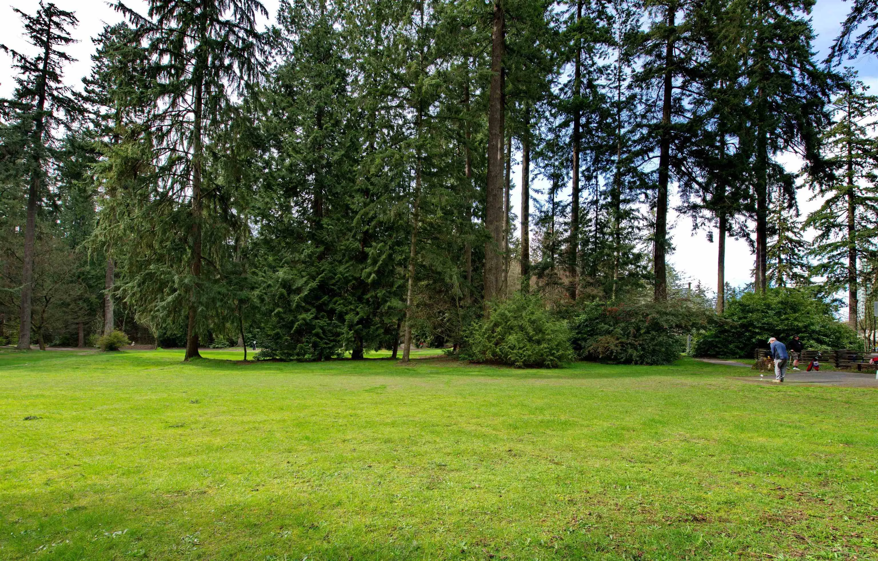 1802 6588 Nelson Avenue