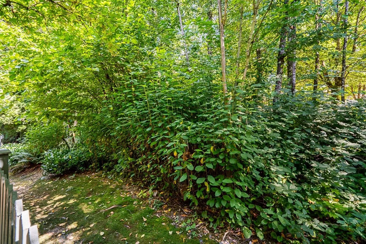 36 7465 Mulberry Place