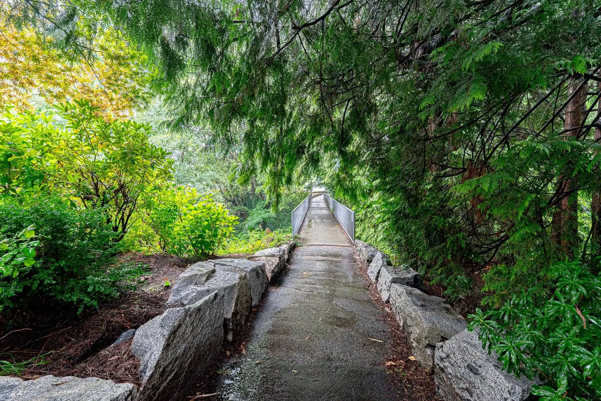 5 1786 Esquimalt Avenue