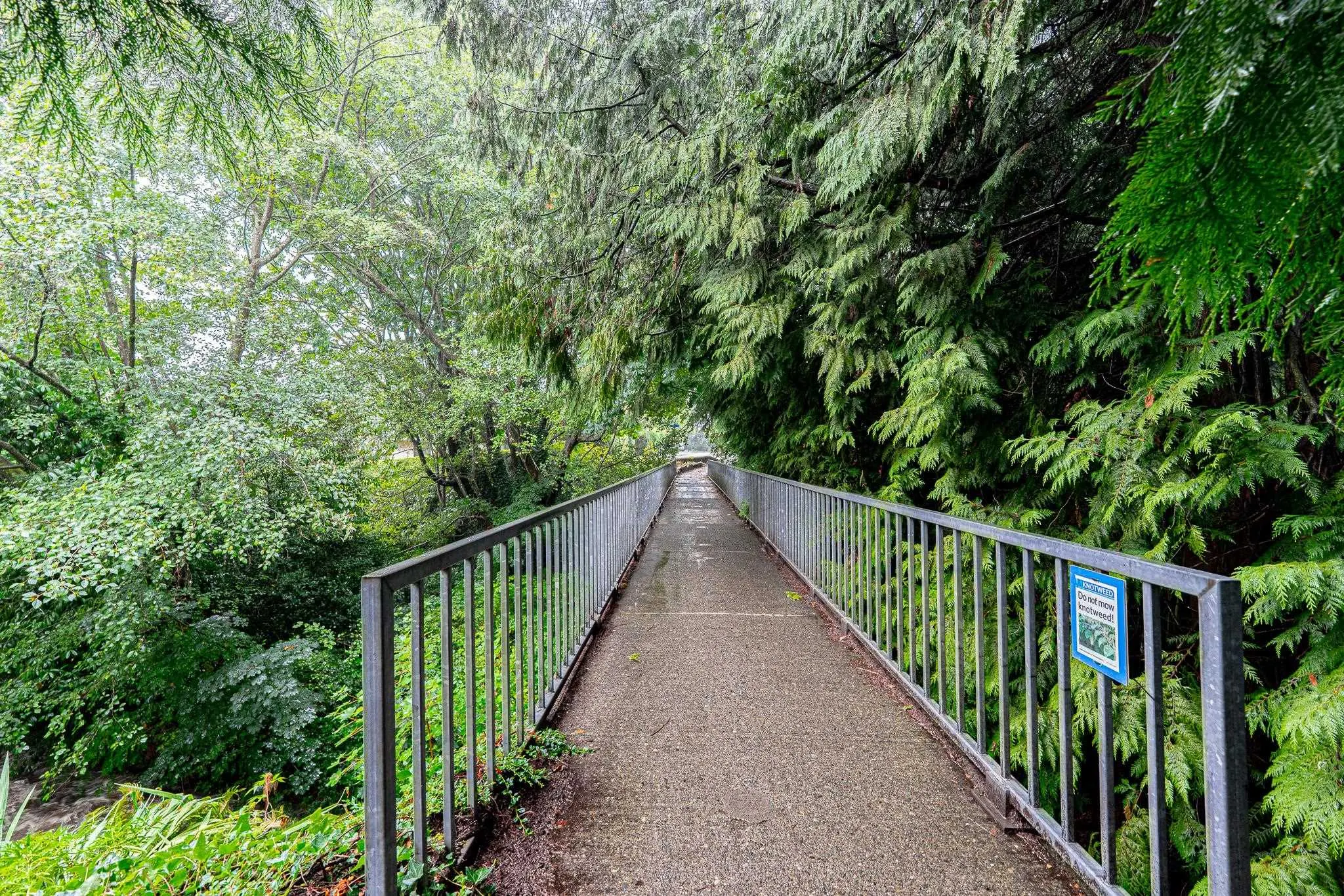 5 1786 Esquimalt Avenue