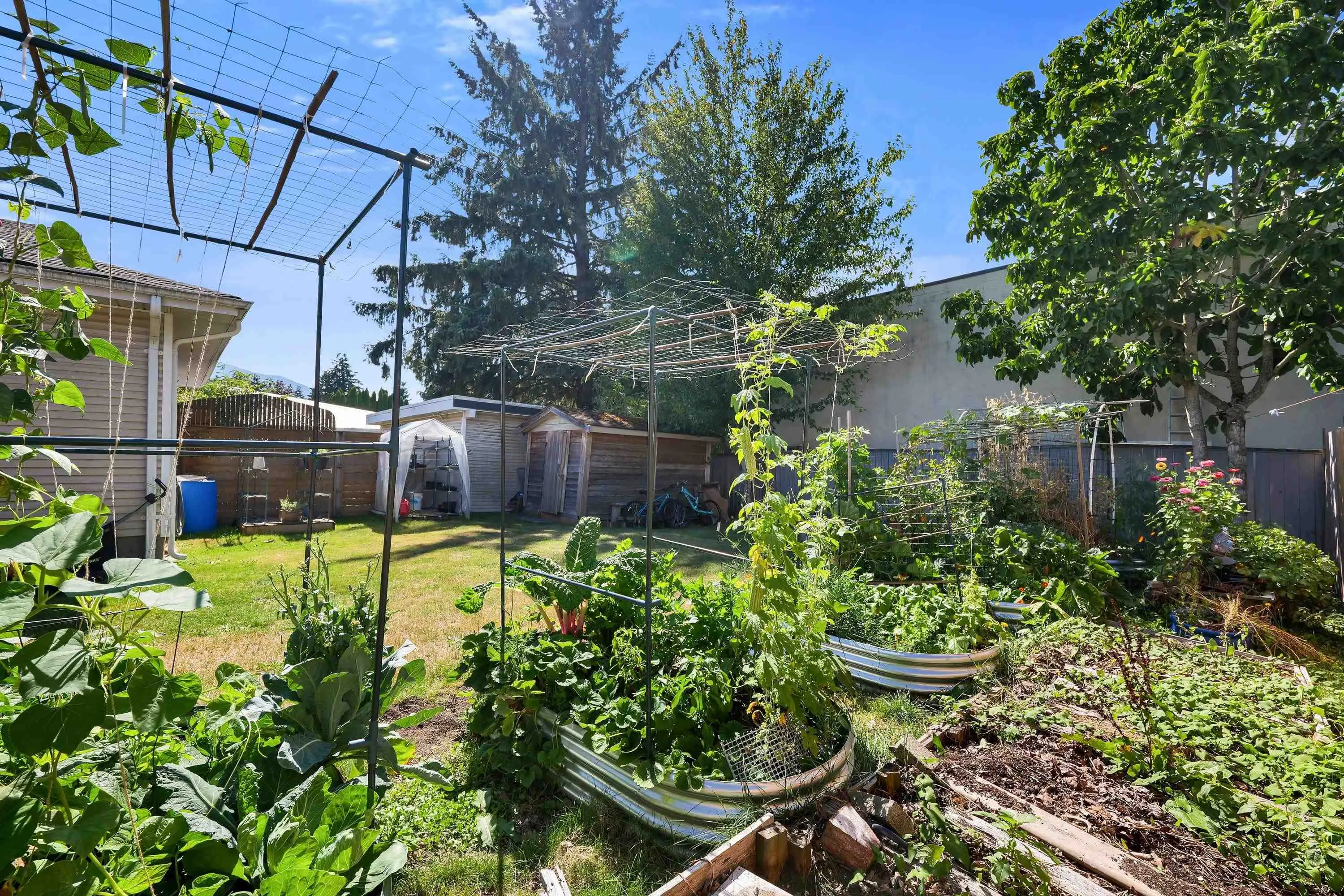 40317 Diamond Head Road