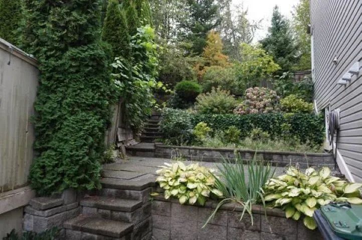 Lower 122 Linden Court