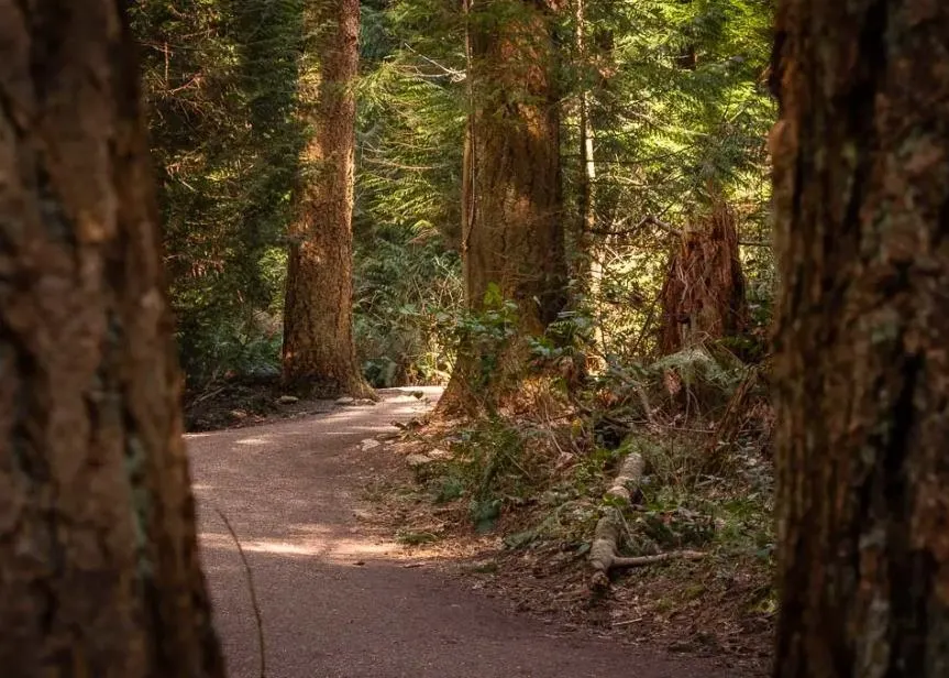 301 5775 Hampton Place