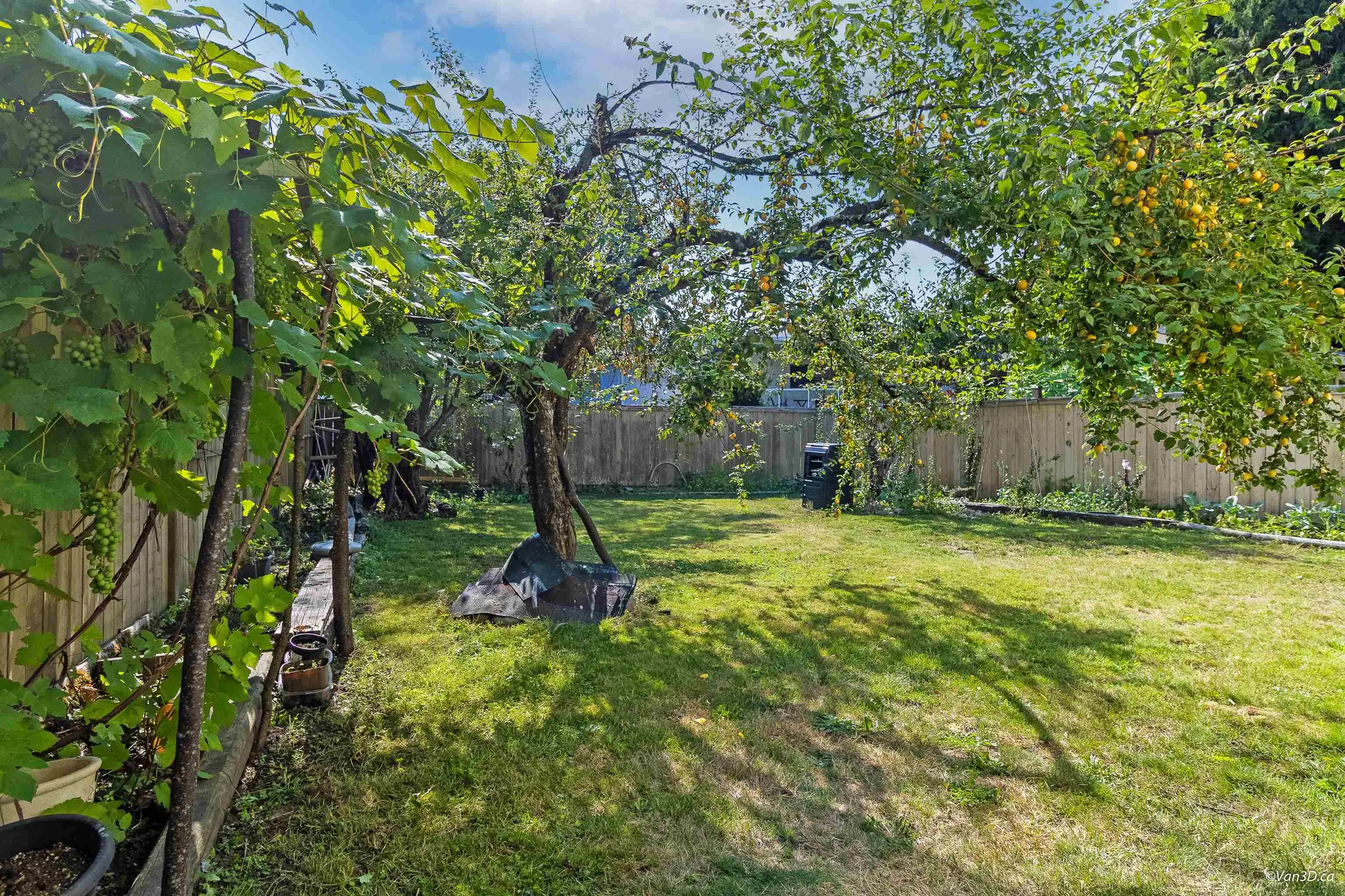 3184 Sechelt Drive